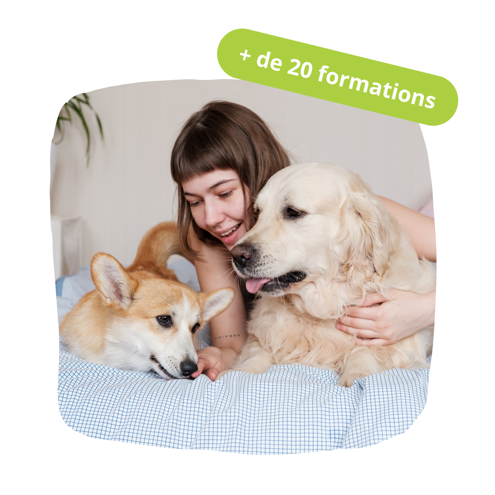 + de 20 formations + de 20 formations